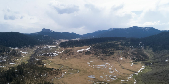 Koru Yaylası Çatalzeytin’indir