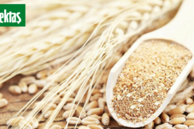586905286