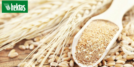 5 Yıl Üretip Satacak