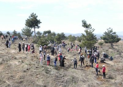 Kastamonu’ya “Bereket Ormanı”
