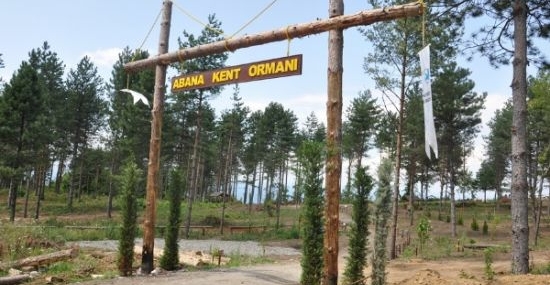 Ormanda kentleşme…