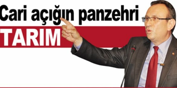Cari açığın panzehri tarım