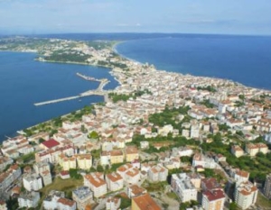 141841567