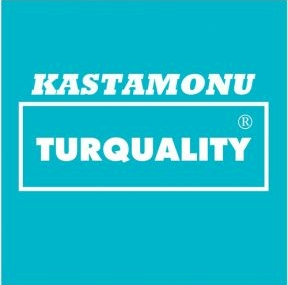 İlk Türk markası, Kastamonu