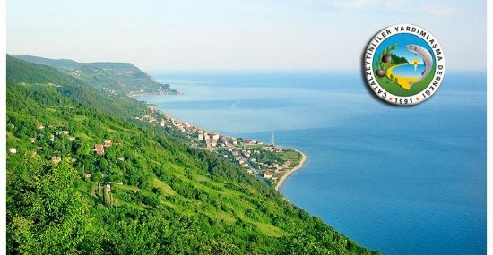 Çatalzeytin’de Sivil İnisiyatif devrede