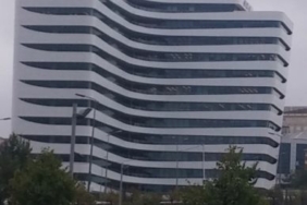 311843855