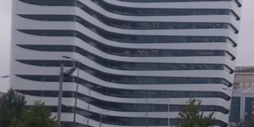 311843855