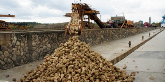 Tatlı kampanya başladı