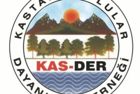 263991867