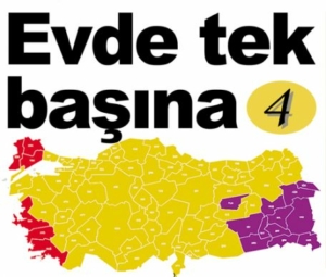 246083051
