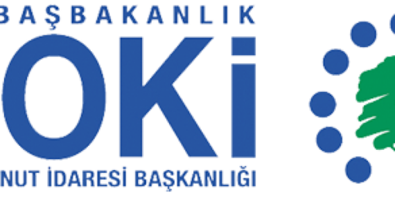 Emekliye ikinci bahar TOKİ’den