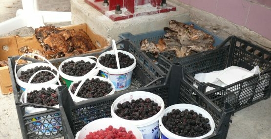 Çatalzeytin’de Yöresel Ürünlere Büyük İlgi