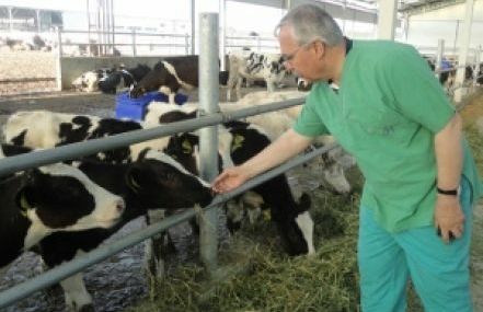 Hakkı Köylü Süt Tesisini İnceledi