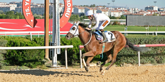 Şerife Bacı Kupası Sahibini Buldu