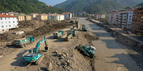 Yeşil Karıncalar Hala İş Başında