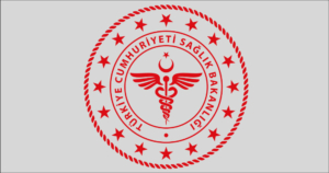 905873619