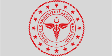 905873619
