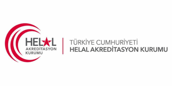 İhracatçılara Destek