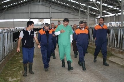 Kastamonu için hayvancılık çok önemli