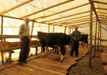 Bozkurt’ta kurban pazarı kuruldu