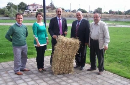 Çeltik sapından yonga levha üretilecek