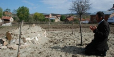 494324713