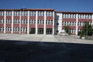391633294