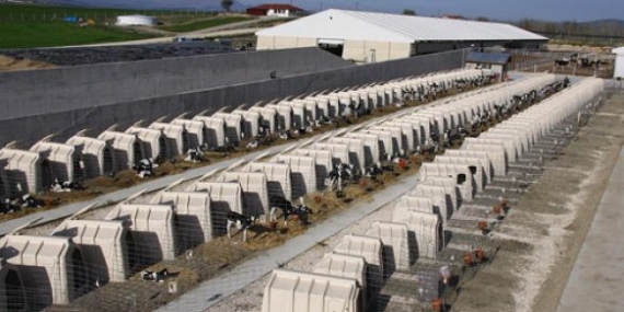 Kebir Devrekani’yi tercih etti