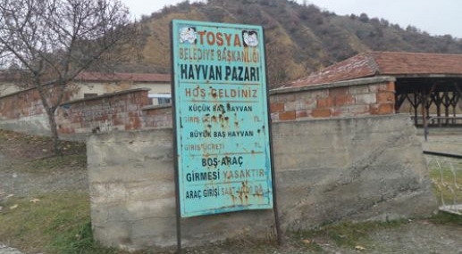 Tosya Hayvan Pazarı karantinada