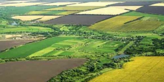 11 ilçede 14 bin dekar desteklenecek