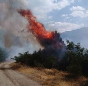 50 dönüm ekili tarım arazisi yandı