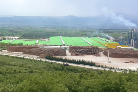 89081928