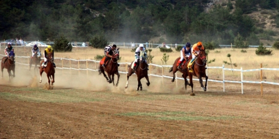 Atlar demokrasi için koştu