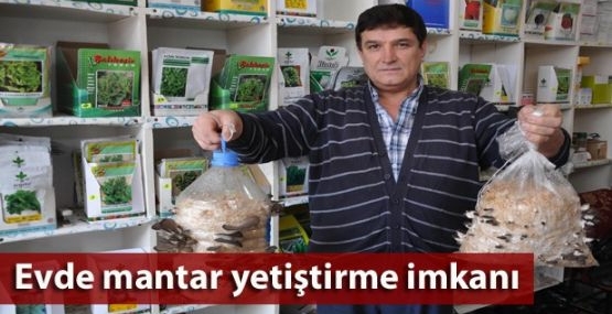 Pet şişe ve poşette mantar yetiştirdi