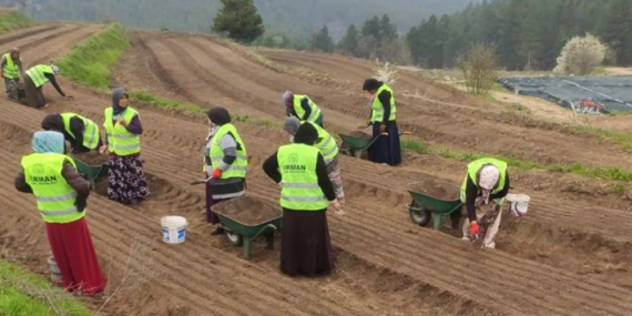 Kadınları Desteklemeye Devam