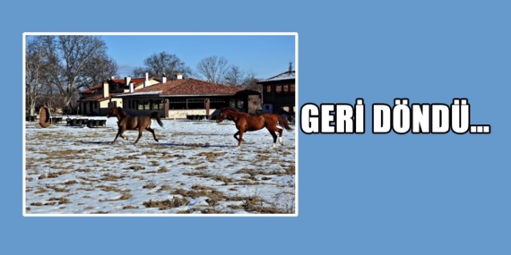 Geri döndü…