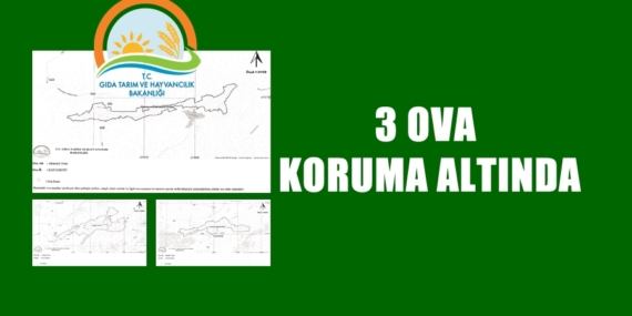 3 ova koruma altında