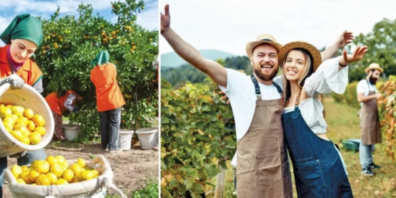 Agro Turizmi Kastamonu’da