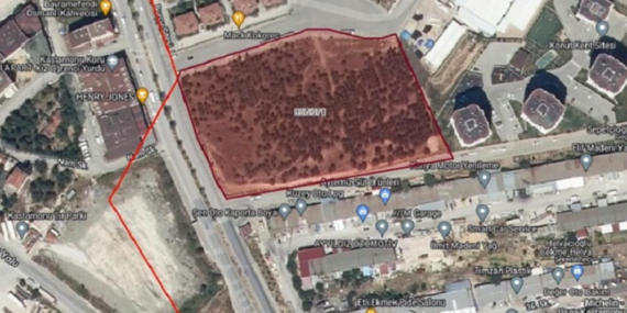 İhale Bedeli 100 Milyon Lira