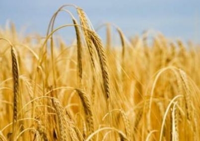 TKDK’ya 26 proje başvurusu yapıldı