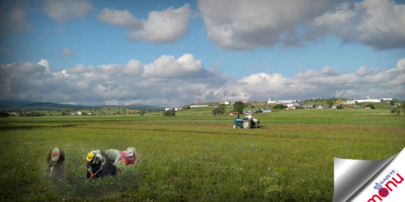 Verimlilik düşüyor