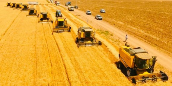 Çiftçiye, Destek Ödemeleri Başladı