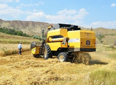 Tarımda ilk hasat başladı