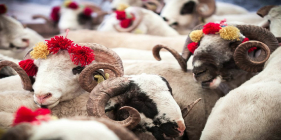 Bayram Tatili 9 Gün