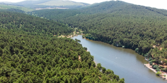 Giriş Yasağı Getirildi