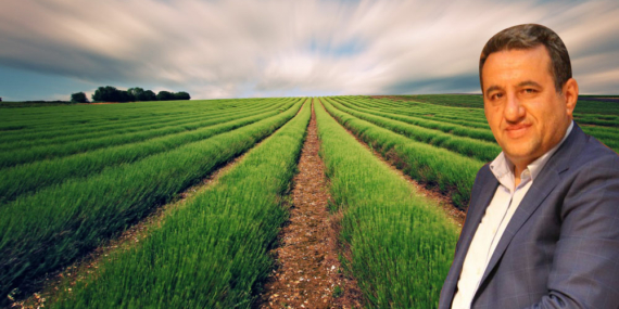 Yerel idare irade koymalı