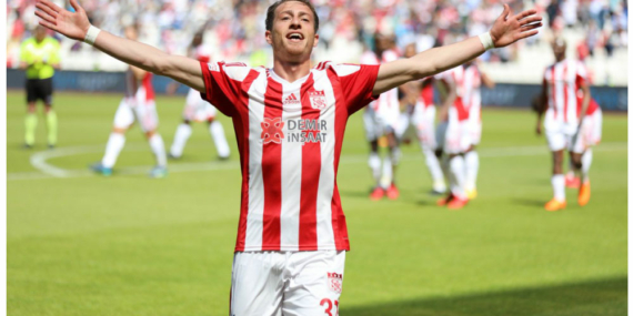 37 numaralı tek Arslan