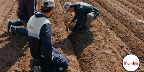 5 yılda 5,6 milyar dolar ithalat yapıldı