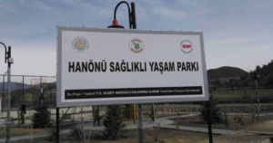 60609749
