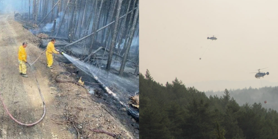 Ciğerlerimiz Yandı